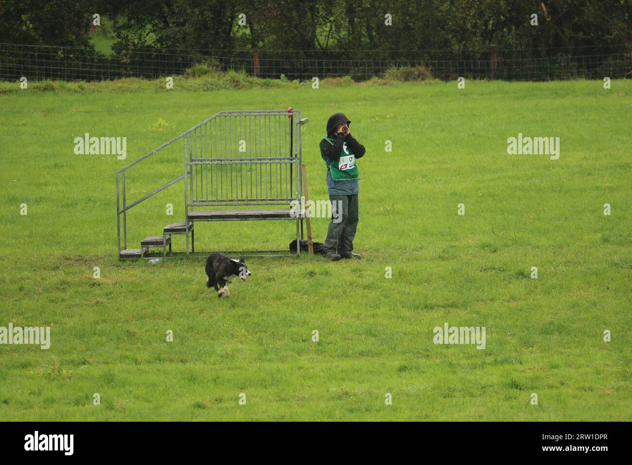 Tyler McKinlay (Schottland) und Heatherstane Squiggle Gewinner des World Sheepdog Trials Young Handler Competition 2023 auf der Gill Hall Farm in Dromore Stockfoto