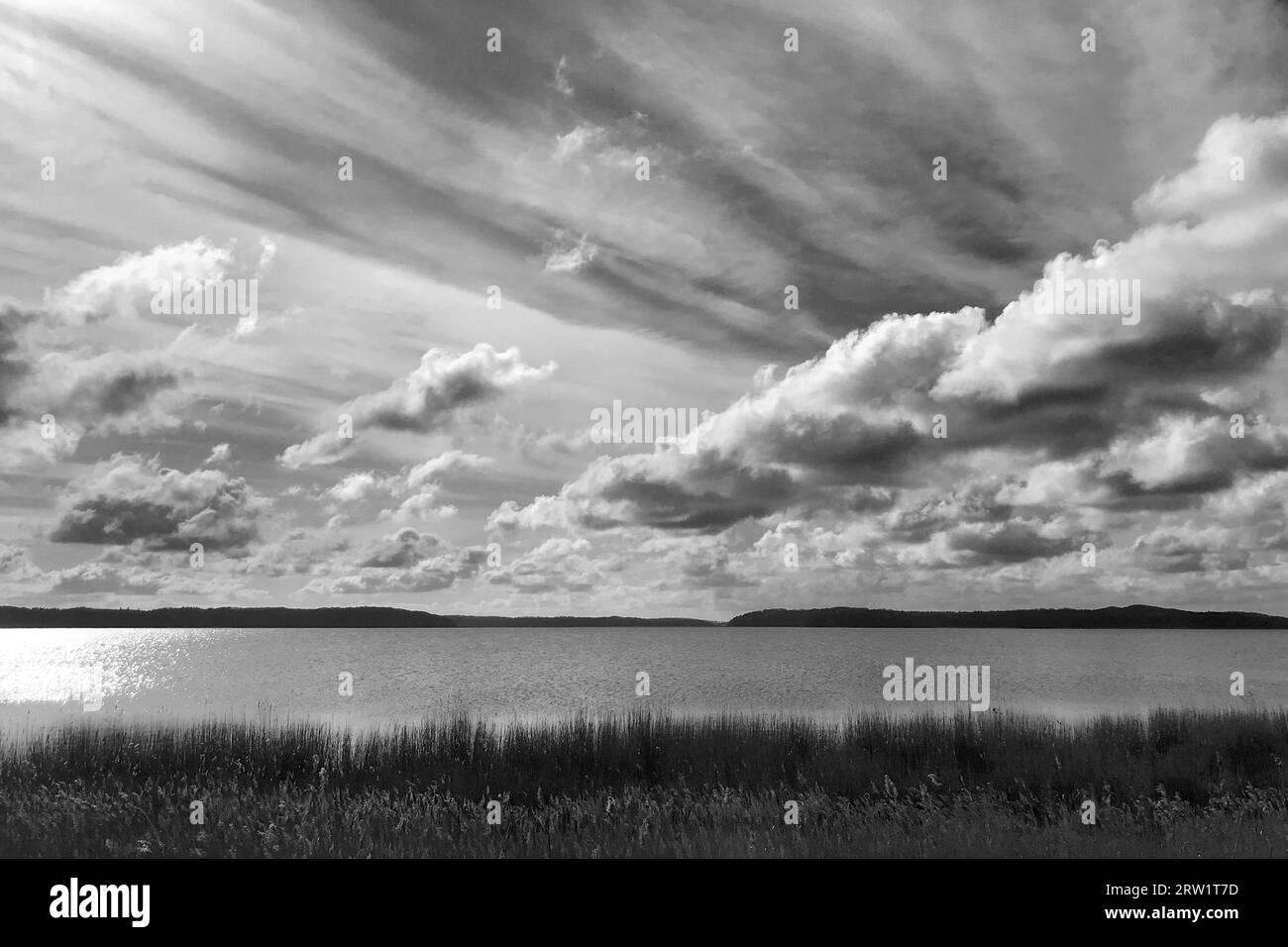 04.04.2023, Deutschland, Mecklenburg-Vorpommern, Lietzow - Kleiner Jasmund Bodden. 00S230404D595CAROEX.JPG [MODELLVERSION: NICHT ZUTREFFEND, EIGENSCHAFT R Stockfoto