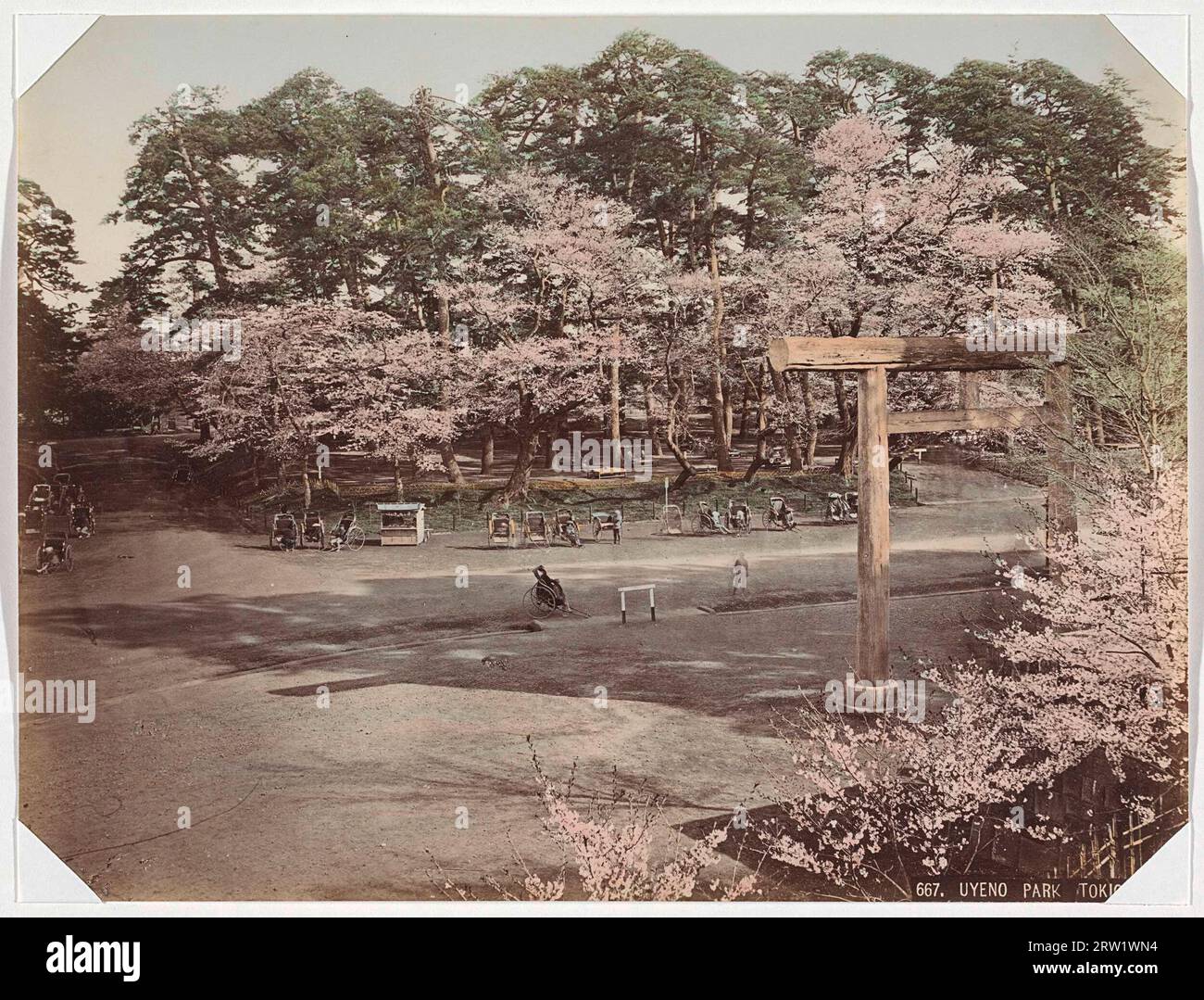Blossom in Ueno Park in Tokio, anonym, 1890 - 1894 Stockfoto