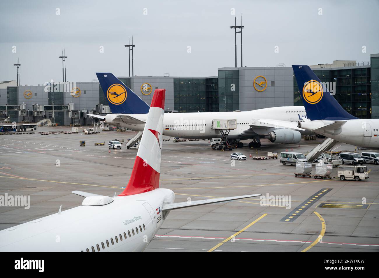 Frankfurt Flughafen Terminal 1 Turkish Airlines Parken www.alamy.de