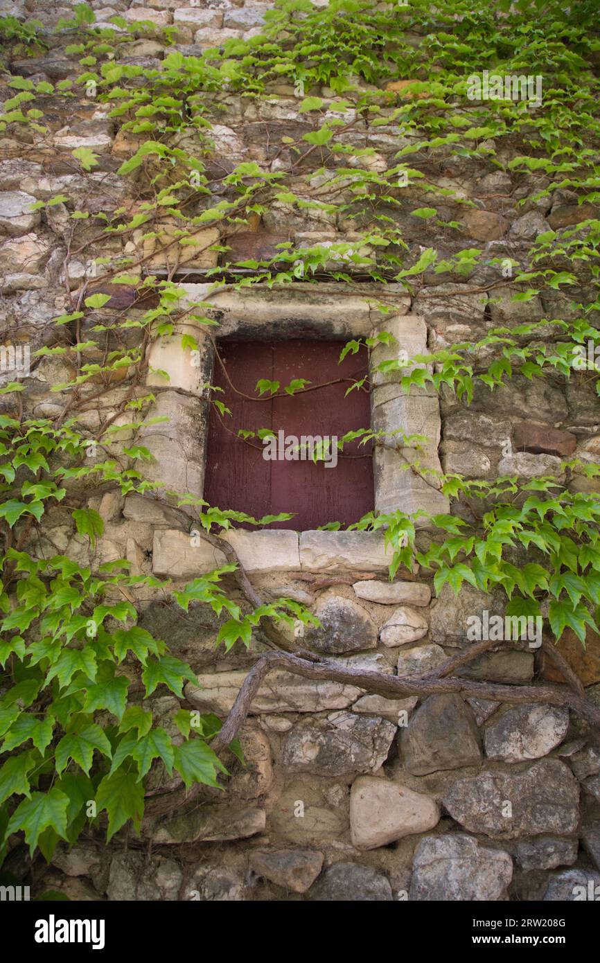 Ein bewachsenes Fenster eines Steinhauses. Fotografiert in Aiguèze. Stockfoto