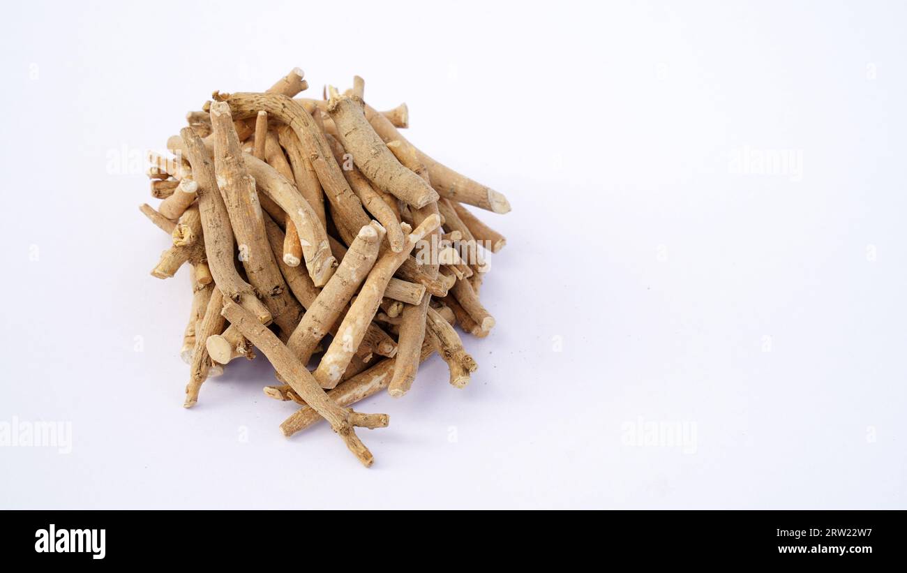 Withania somnifera, allgemein bekannt als Ashwagandha, indischer Ginseng, Giftstachelbeere oder Winterkirsche, ist eine Pflanze in den Solanaceae oder Nachtschatten fami Stockfoto