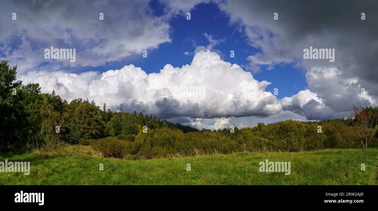 Weiße Regenwolken über der Landschaft im Sommer mit blauem Himmel und hohem Kontrast Stockfoto