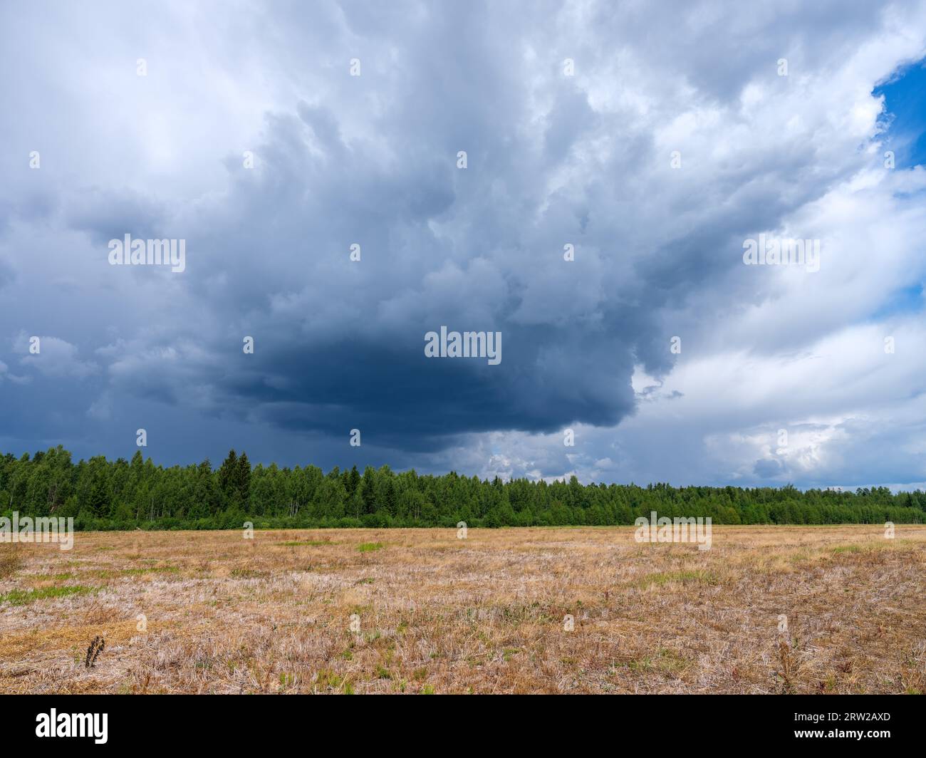 Weiße Regenwolken über der Landschaft im Sommer mit blauem Himmel und hohem Kontrast Stockfoto