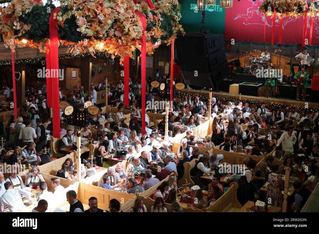 MÜNCHEN, Deutschland. September 2023. Auftakt zum Oktoberfest München 188, auch WIESN genannt, am Samstag, 16. September in München. Auf dem Bild - Blick ins Innere des WEINZELT Bier- und Weinzeltes - die traditionelle Veranstaltung endet am 3. Oktober Das Oktoberfest ist das größte Volksfest der Welt und zieht jährlich rund sechs Millionen Besucher an. Jedes Jahr brechen neue Rekorde. Bild und Copyright. @ Arthur Thill /ATP Images (THILL Arthur/ATP/SPP) Credit: SPP Sport Press Photo. Alamy Live News Stockfoto