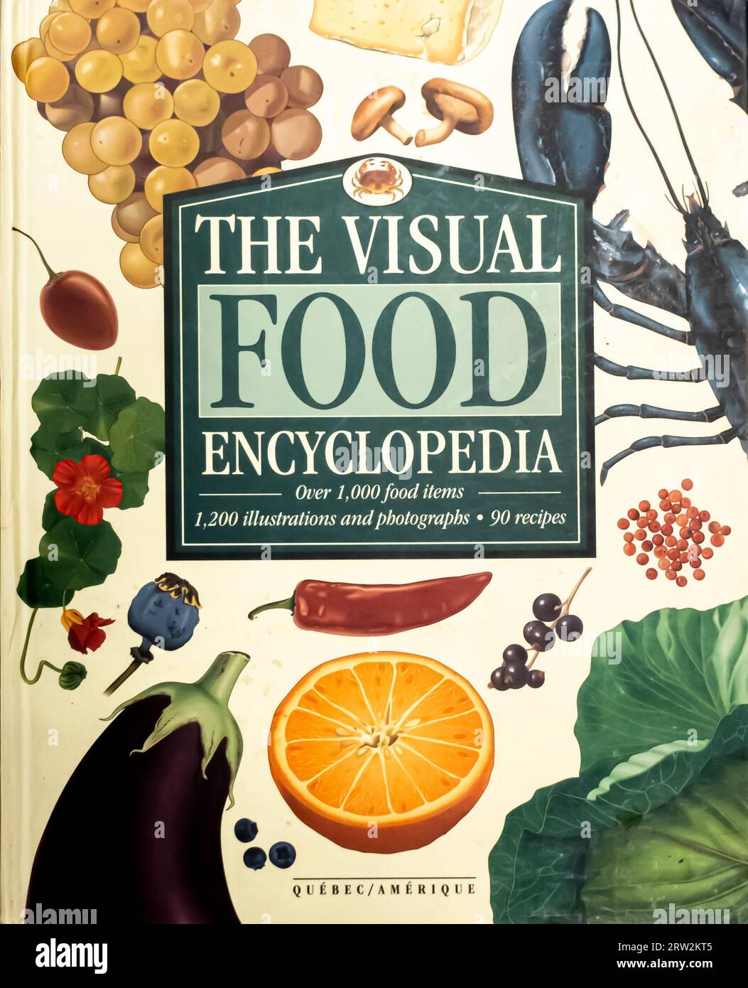 The Visual Food Encyclopedia Book von Francois Fortin (Herausgeber), Serge D'Amico (Herausgeber) Stockfoto