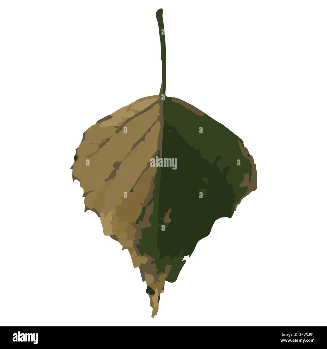 Ein trockenes Blatt. Birkenblatt. Herbstlaub. Vektorillustration. Stock Vektor