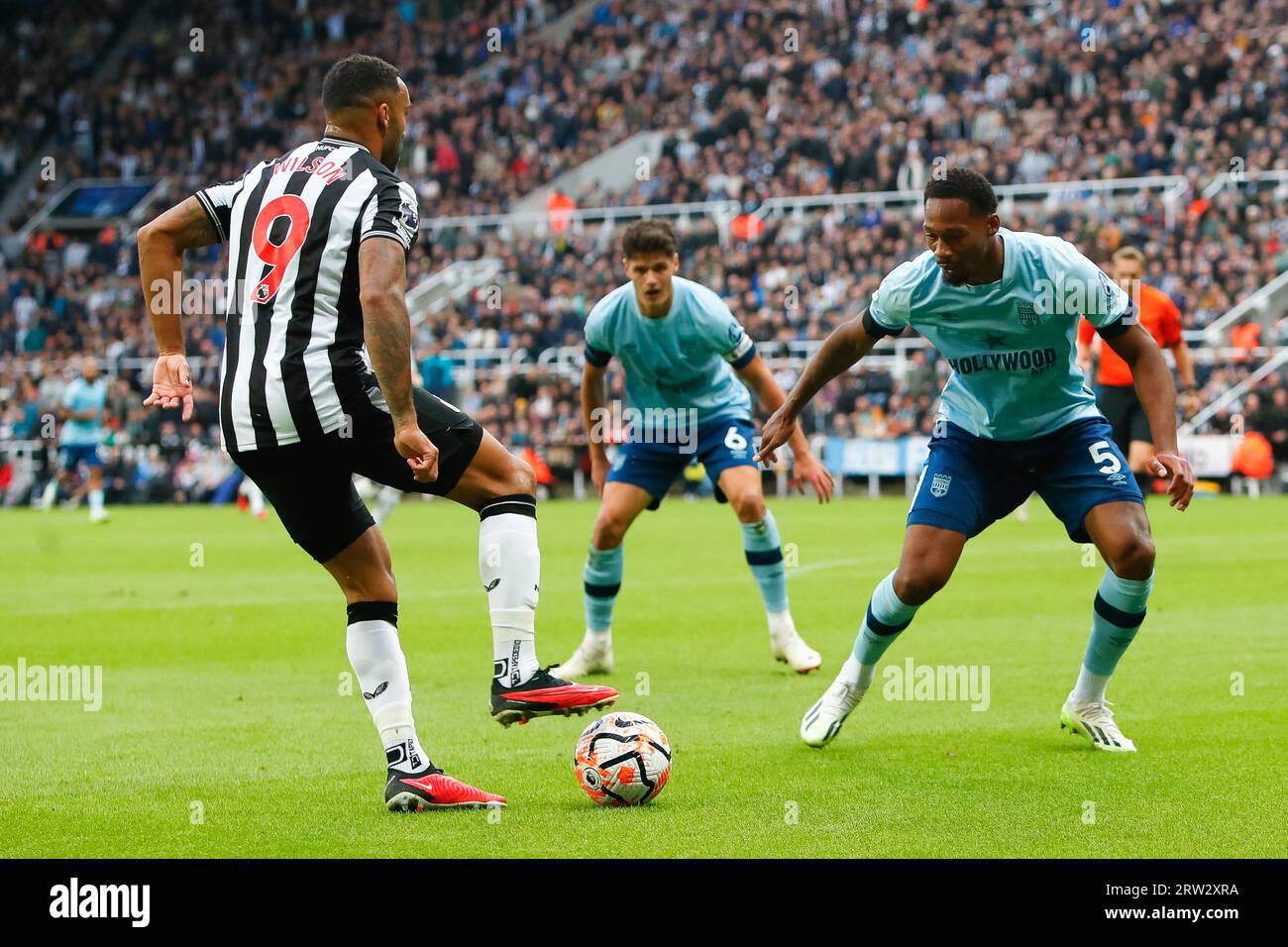 Newcastle, Großbritannien. September 2023. 16. September 2023; St James' Park, Newcastle, England; Premier League Football, Newcastle United versus Brentford; Ethan Pinnock of Brentford Shadows Callum Wilson of Newcastle United Credit: Action Plus Sports Images/Alamy Live News Stockfoto