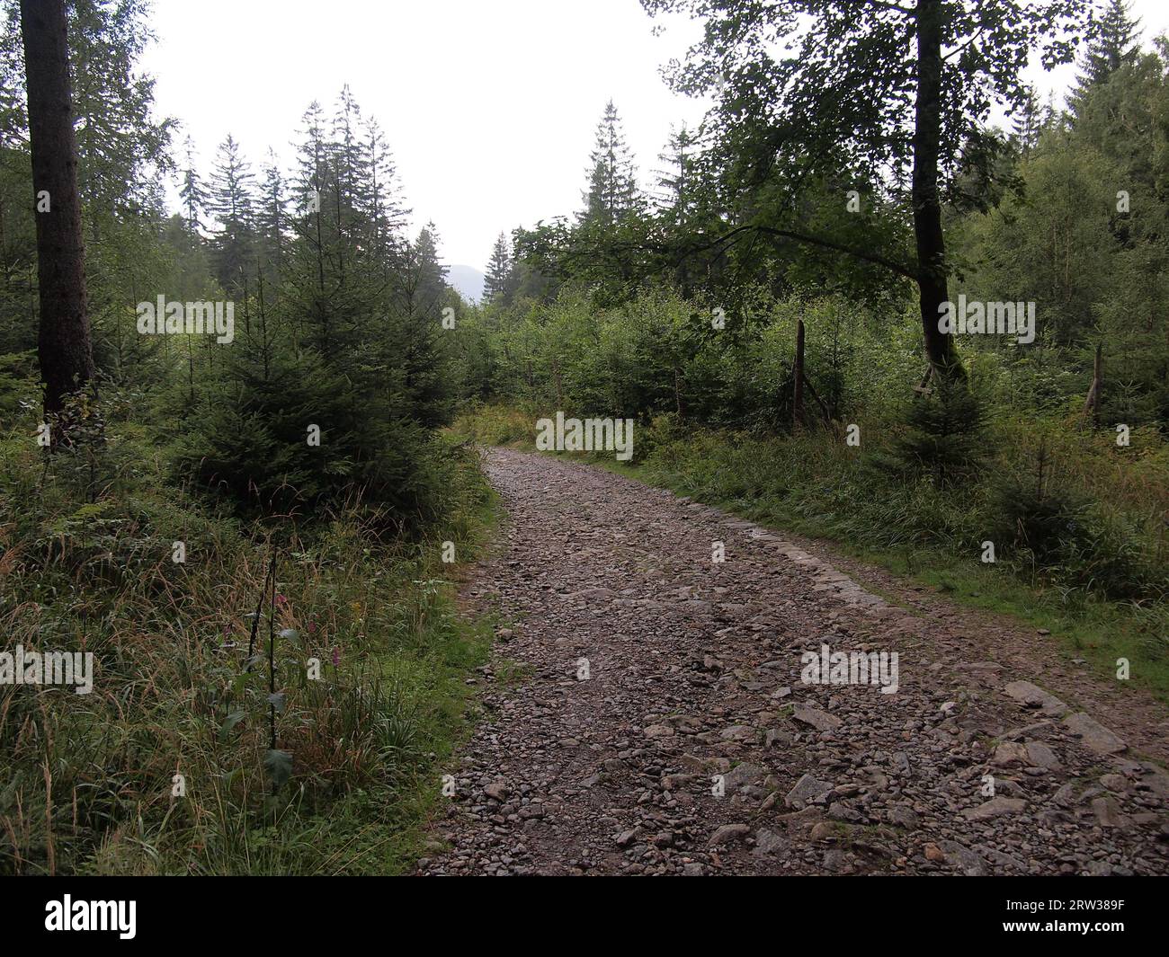 Karpacz (Kreis Karkonosze, Woiwodschaft Niederschlesien, Republik Polen) Stockfoto