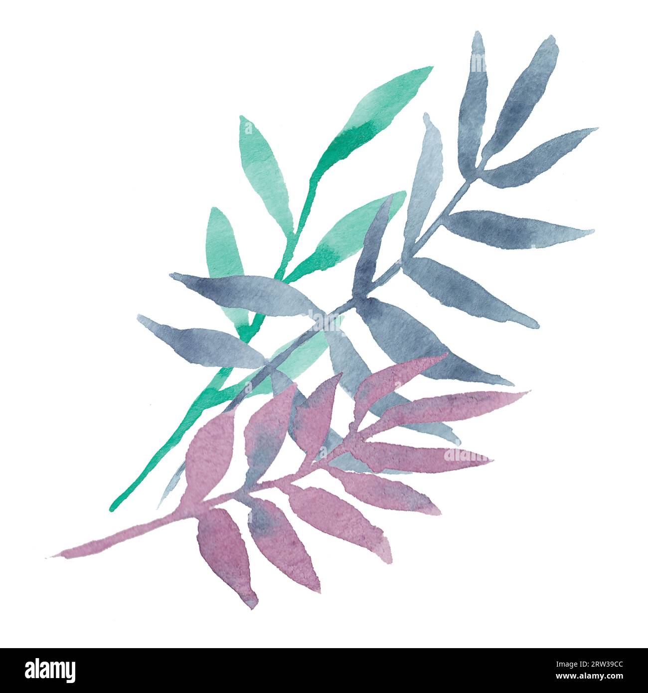 Handgezeichnete Aquarelldekoration Eukalyptus- oder Palmenzweige mit bunten Blättern: Violett, Minze, Marineblau. Gut für Drucke, Hochzeit Stockfoto