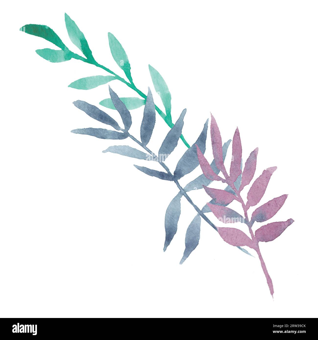 Handgezeichnete Aquarelldekoration Eukalyptus- oder Palmenzweige mit bunten Blättern: Violett, Minze, Marineblau. Gut für Drucke, Hochzeit Stockfoto