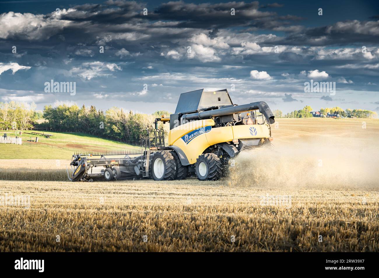 Cremona Alberta Canada, 10. September 2023: Ein New Holland-Mähdrescher erntet ein Gerstenfeld und macht einen Staubpfad unter einem dramatischen Sonnenuntergangshimmel auf der Kana Stockfoto