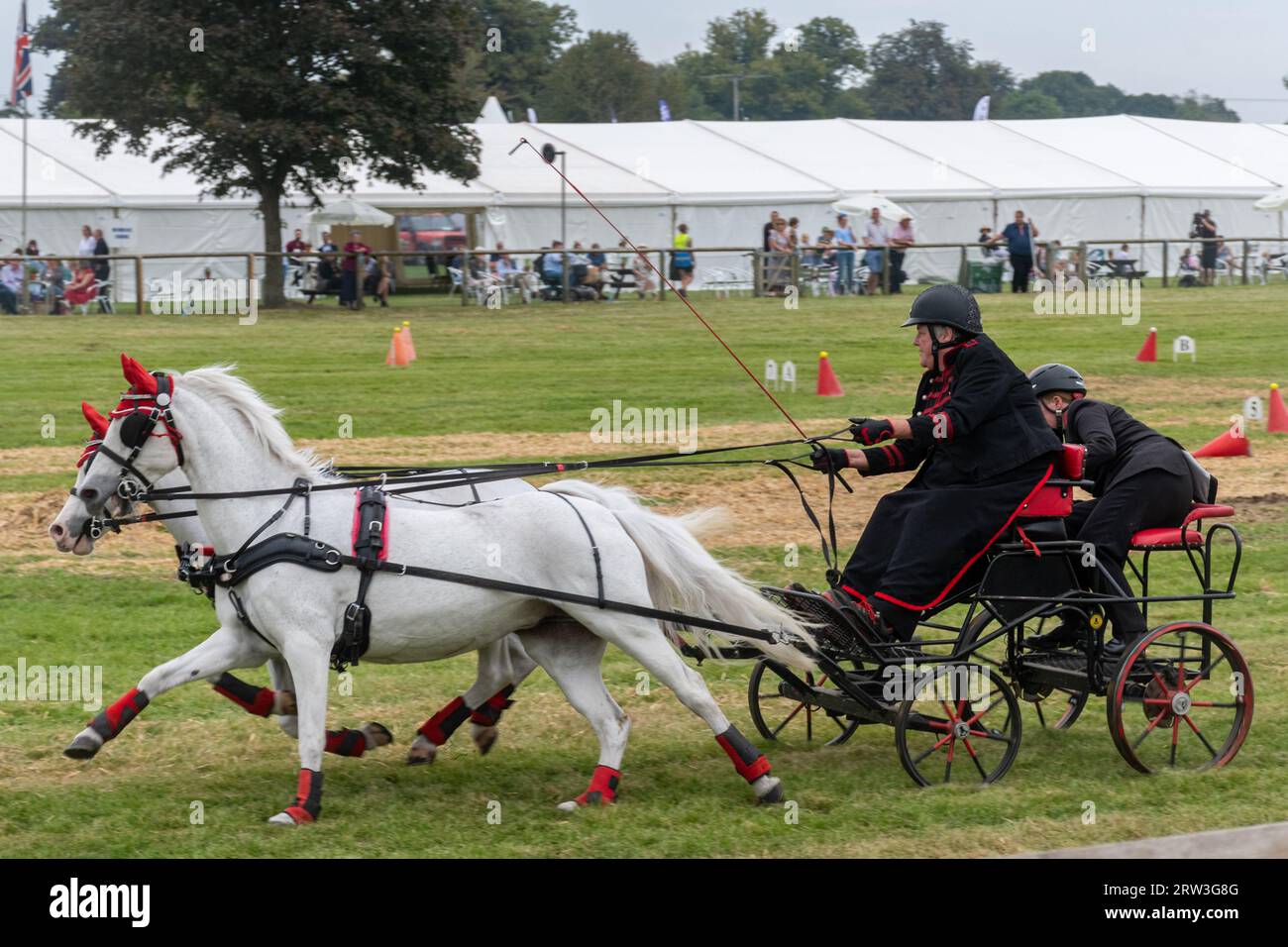 September 2023. Newbury Show kehrte heute zum ersten Mal seit der Pandemie zurück. Die Veranstaltung fand am Wochenende des 16. Und 17. September auf dem Newbury Showground, Berkshire, England, nach einer dreijährigen Lücke statt. Die Show, auch Royal County of Berkshire Show genannt, wurde von der Newbury & District Agricultural Society organisiert und war gut besucht. Rasender Wettkampf in der Haupthalle. Stockfoto