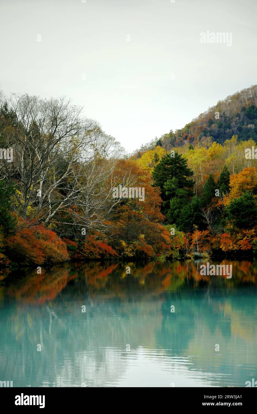 Die Landschaft der schönen Herbstblätter in Japan die Landschaft von Nikko Yunoko wie ein Gemälde Stockfoto