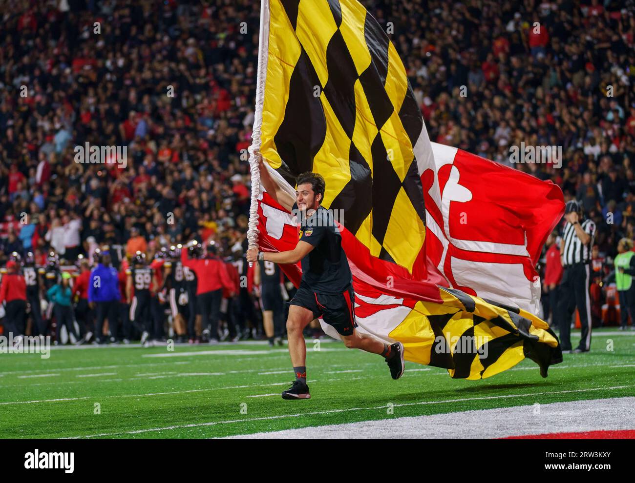 COLLEGE PARK, MARYLAND, USA - 15. SEPTEMBER: Die Flagge von Maryland überquert das Feld nach einem Touchdown während eines College-Fußballspiels zwischen den Maryland Terrapins und den Virginia Cavaliers am 15. September 2023 im SECU Stadium im College Park, Maryland. (Foto: Tony Quinn-Alamy Live News) Stockfoto