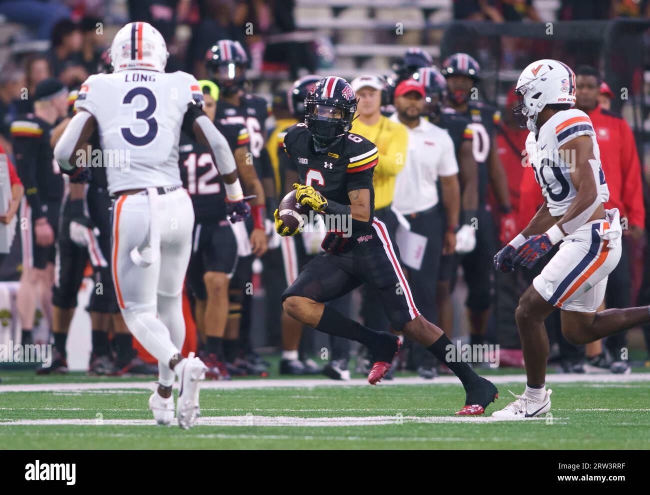 COLLEGE PARK, MARYLAND, USA – 15. SEPTEMBER: Jeshaun Jones (6), der in Maryland als Wide Receiver auftritt, zieht am 15. September 2023 im SECU Stadium im College Park, Maryland, während eines College-Fußballspiels zwischen den Maryland Terrapins und den Virginia Cavaliers nach vorne. (Foto: Tony Quinn-Alamy Live News) Stockfoto