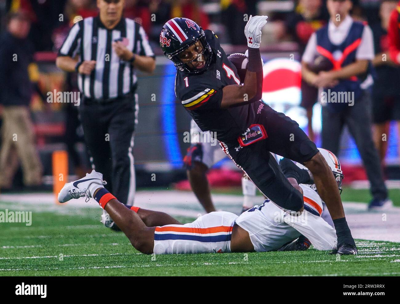 COLLEGE PARK, MARYLAND, USA – 15. SEPTEMBER: Kaden Prather (1), der in Maryland als Wide Receiver auftritt, tritt am 15. September 2023 im SECU Stadium im College Park, Maryland, bei einem College-Fußballspiel zwischen den Maryland Terrapins und den Virginia Cavaliers auf. (Foto: Tony Quinn-Alamy Live News) Stockfoto