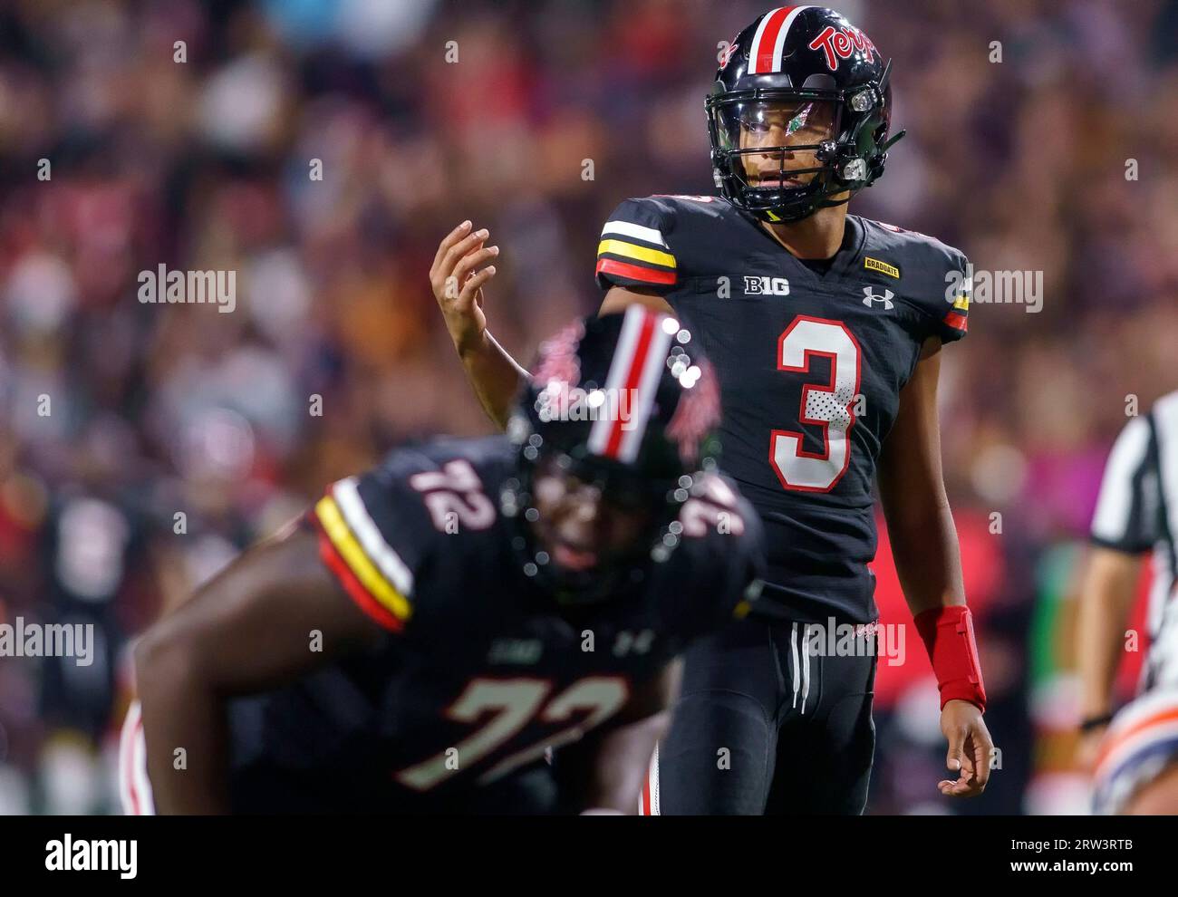 COLLEGE PARK, MARYLAND, USA - 15. SEPTEMBER: Die Maryland Terrapins Quarterback Taulia Tagovailoa (3) ruft am 15. September 2023 im SECU Stadium im College Park, Maryland, ein Fußballspiel zwischen den Maryland Terrapins und den Virginia Cavaliers auf. (Foto: Tony Quinn-Alamy Live News) Stockfoto
