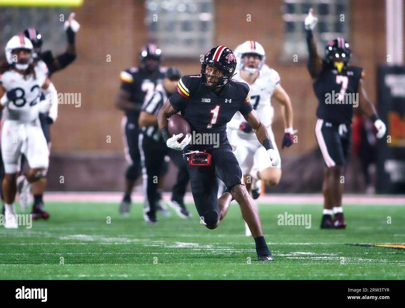 COLLEGE PARK, MARYLAND, USA - 15. SEPTEMBER: Kaden Prather (1), der in Maryland als Wide Receiver auftritt, bricht am 15. September 2023 im SECU Stadium im College Park, Maryland, während eines College-Fußballspiels zwischen den Maryland Terrapins und den Virginia Cavaliers frei. (Foto: Tony Quinn-Alamy Live News) Stockfoto