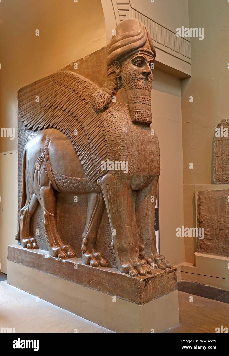 Winged Lion, Assyrian 650BC, British Museum, Great Russell Street, Bloomsbury, London, England, UK, WC1B 3-polig Stockfoto