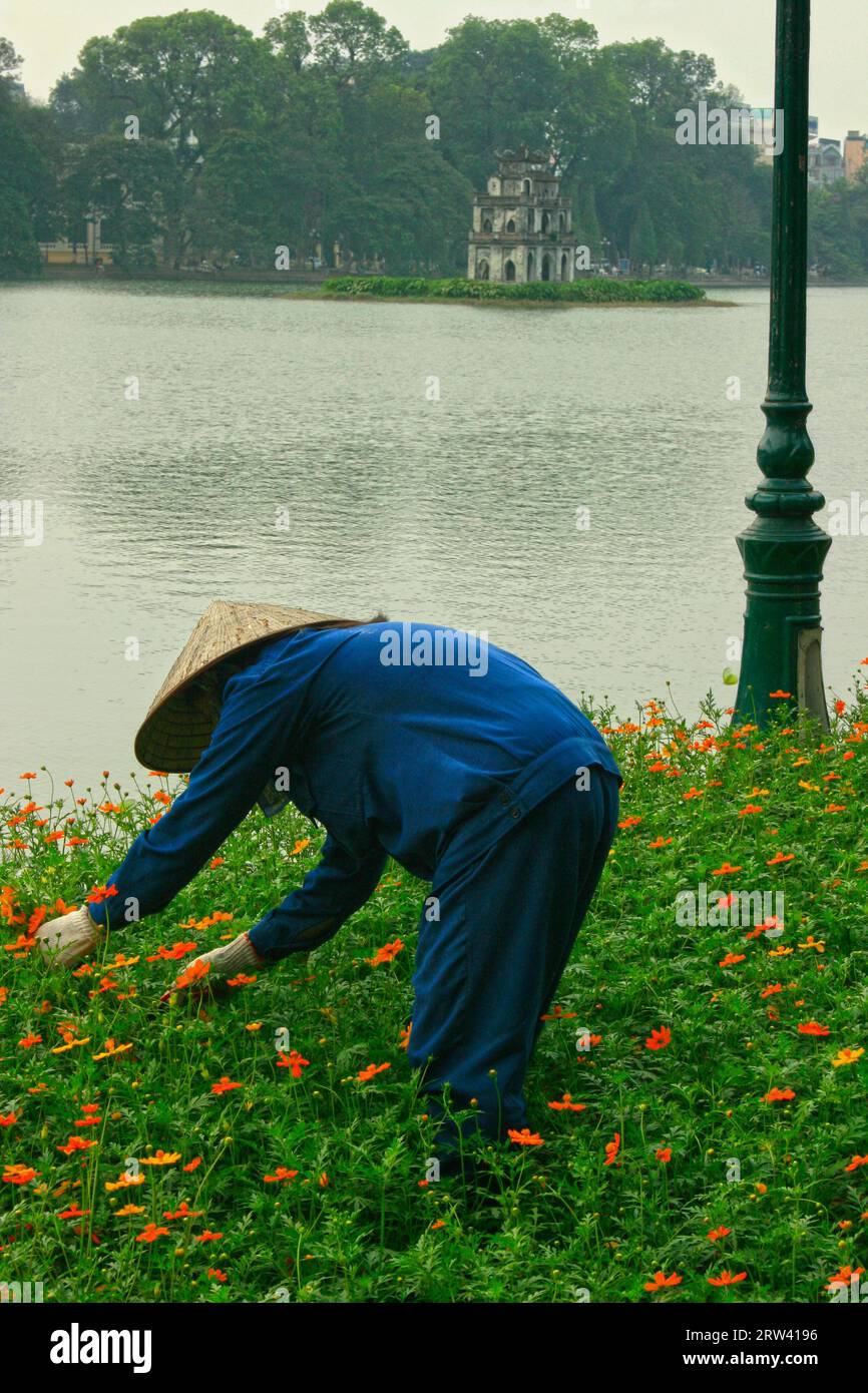 Hanoi, Vietnam - 22. April 2009: Gärtner aus der Gemeinde Hanoi, der im Garten am Ufer des Hoan-Kiem-Sees mit in seiner Mitte, Th Stockfoto