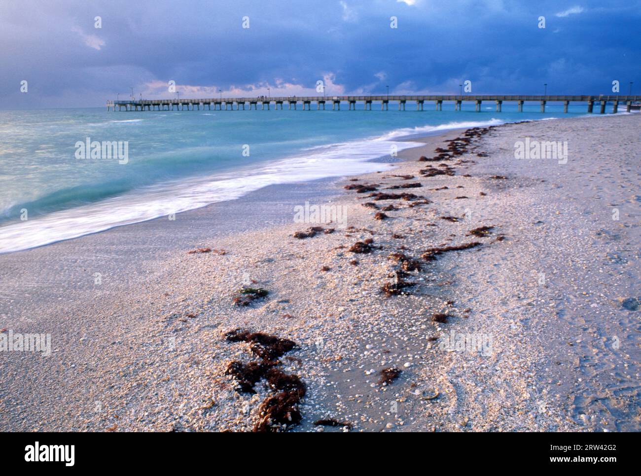 Fossil Beach Pier, Venedig, Florida Stockfoto