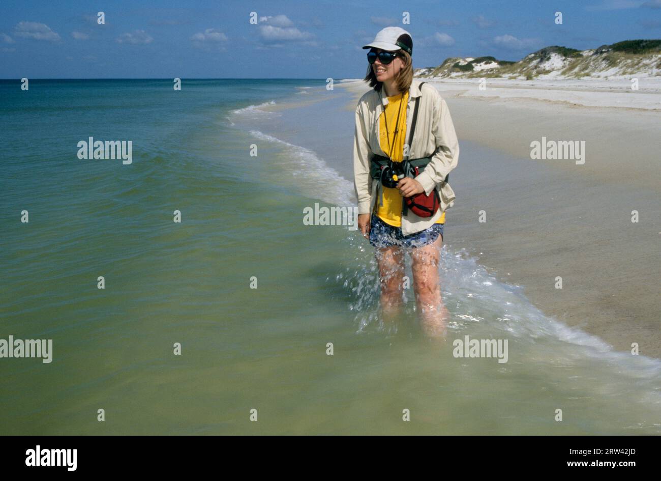 Wilderness Beach, St. Josephs Peninsula State Park, Florida Stockfoto