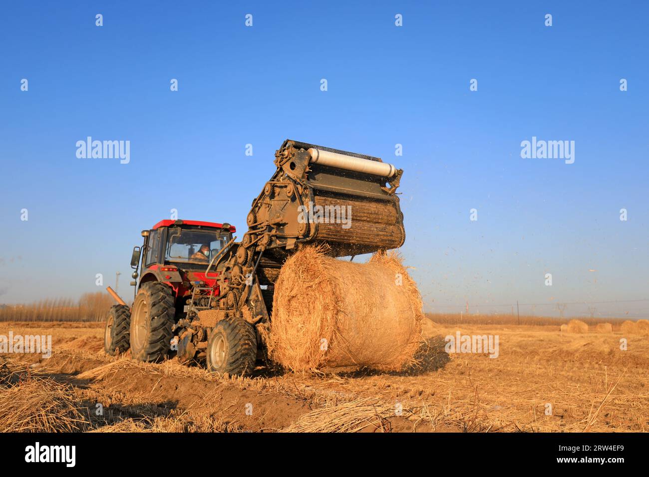 LUANNAN COUNTY, China - 24. Dezember 2020: Landwirte verwenden landwirtschaftliche Maschinen, um Reisstroh zu komprimieren und auf einem Bauernhof im LUANNAN COUNTY, Hebei, zu bündeln Stockfoto