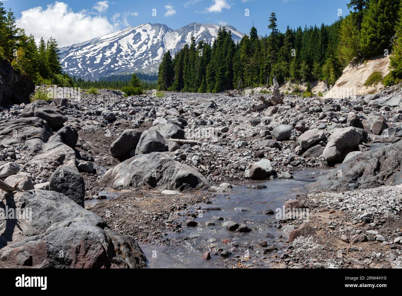 Wasser aus den Hängen des Mt. St. Helens fließt den Muddy River Lahar in Mt. St. Helens Volcanic National Monument Stockfoto