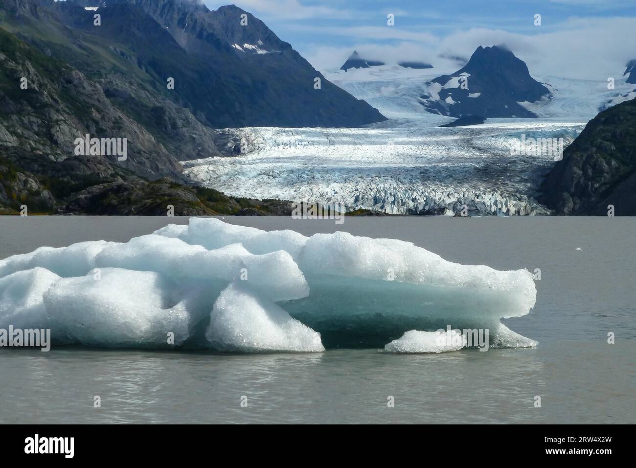 Blick auf Grewingk Gletscher und See, Kenai Halbinsel, Alaska Stockfoto