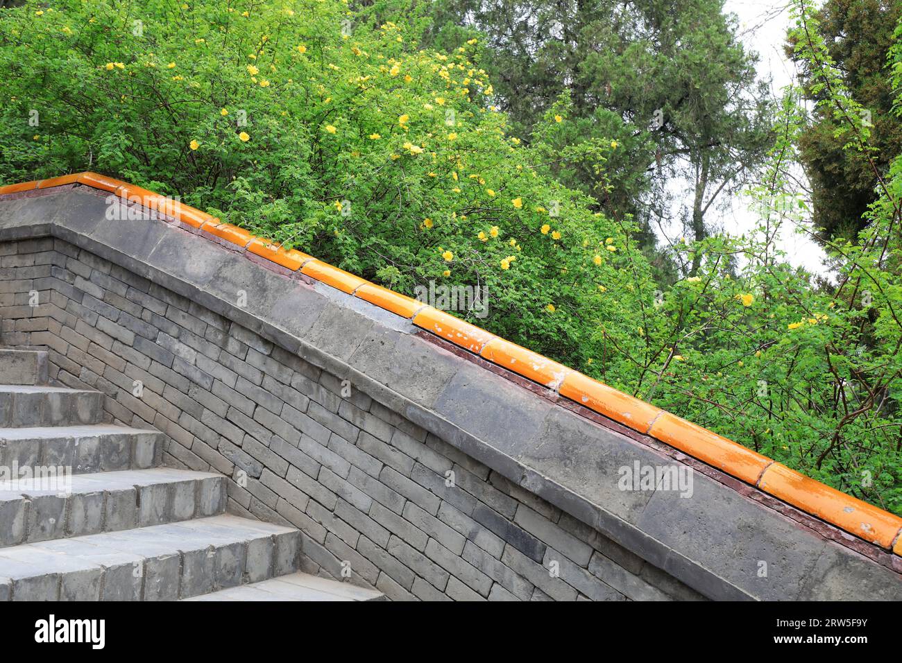 Im Park Peking werden wunderschöne Pflanzen und alte Traditionen gebaut Stockfoto