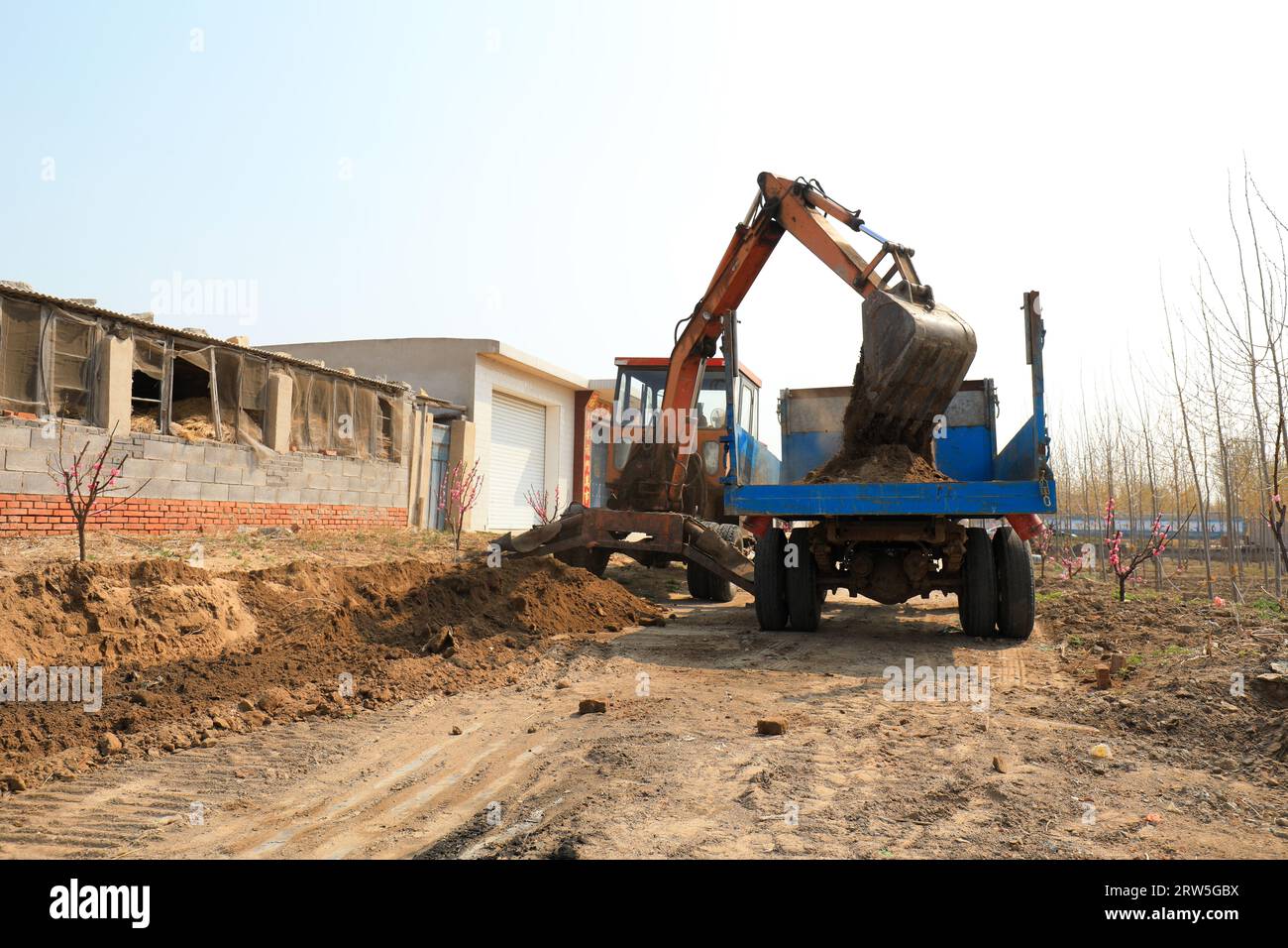 LUANNAN COUNTY, China - 15. April 2021: Bauern nutzen Bagger, um das Land zu ebnen und grüne Setzlinge auf dem Land zu Pflanzen Stockfoto