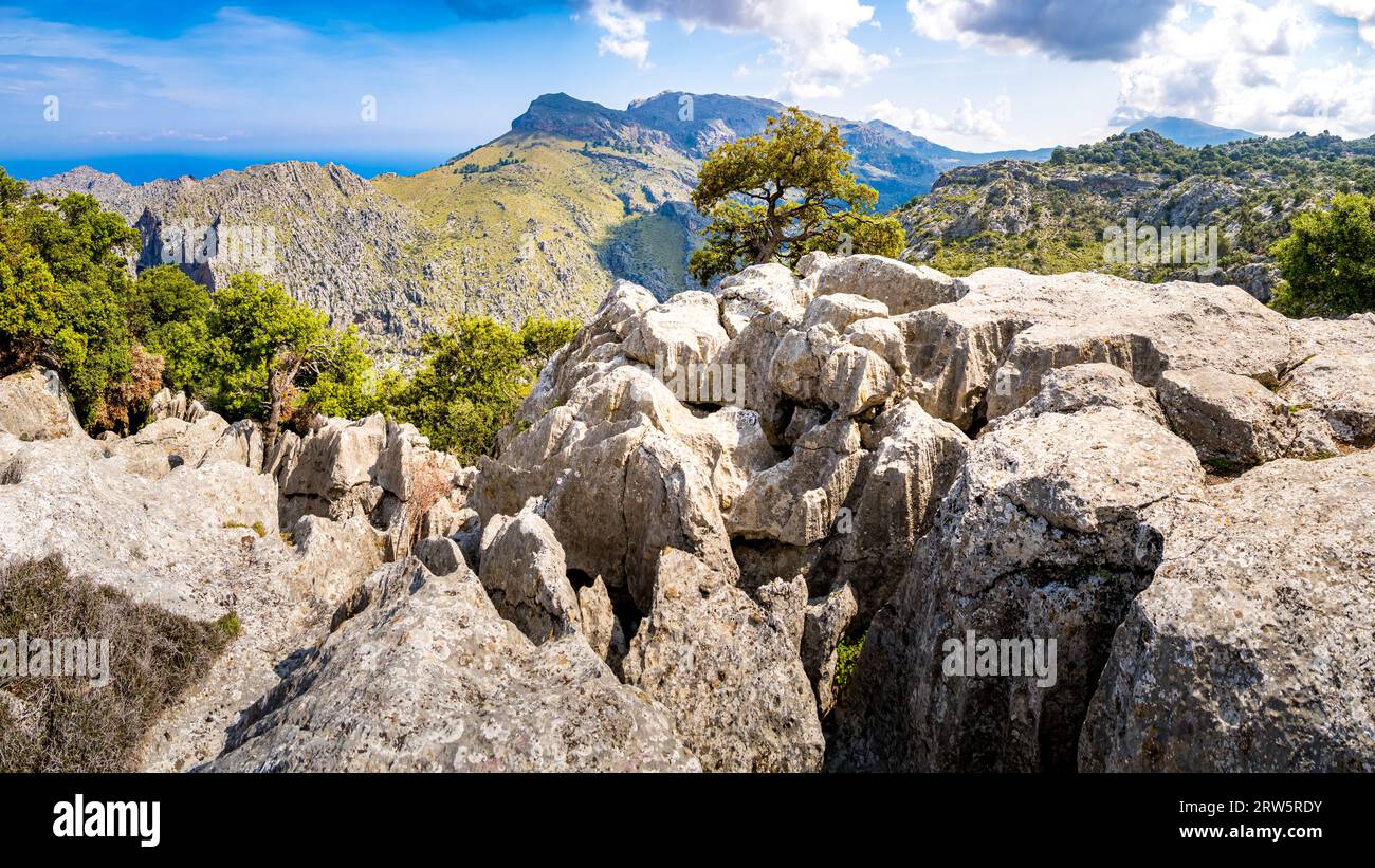 Karstpflasterlandschaft in der Serra de Tramuntana, ein allgegenwärtiger Anblick entlang der MA-10 im Nordwesten Mallorcas, geschmückt von Gipfeln von Puig Roig und Stockfoto