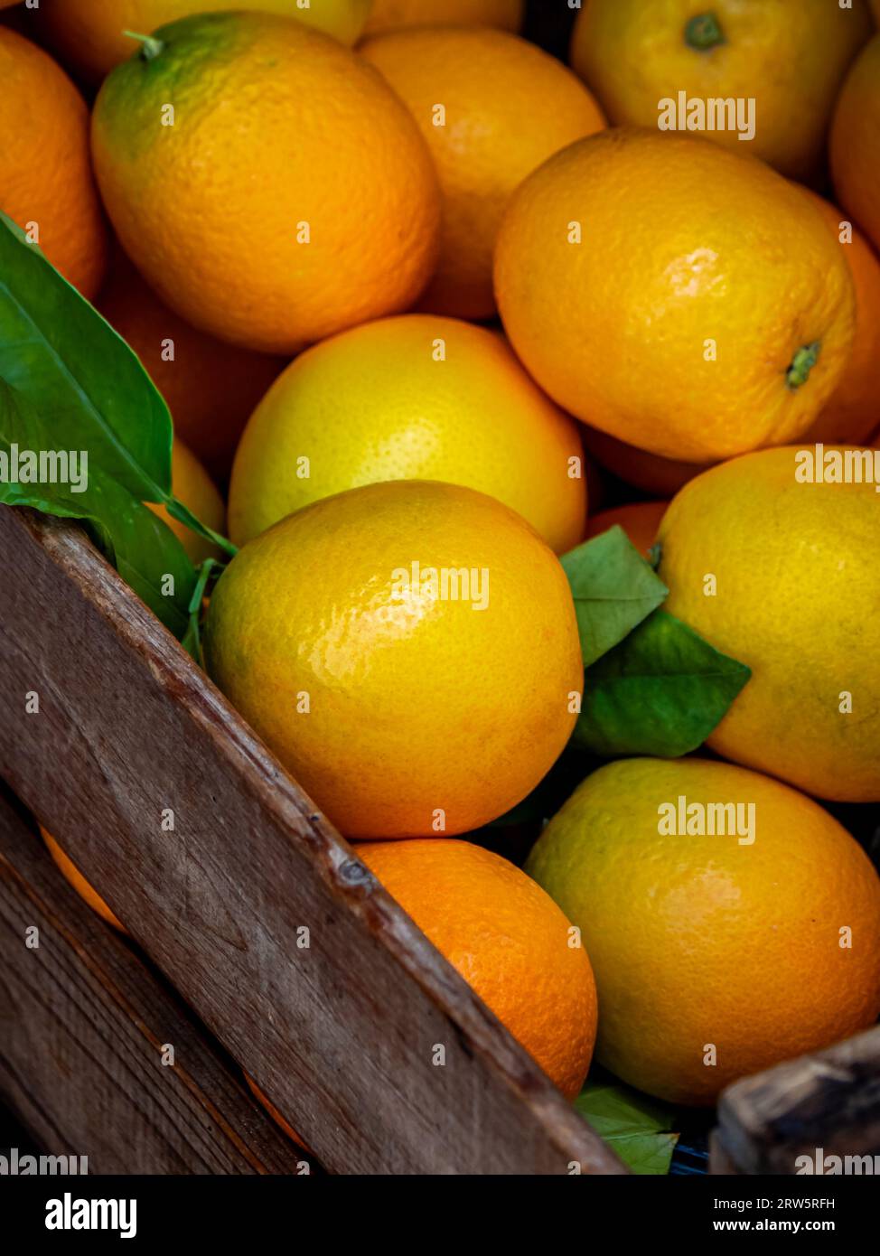 Peret-Orangen in einer Holzkiste, spezielle orangene Obstsorte aus dem Sóller-Tal mit einer einzigartigen birnenartigen Form, leuchtend gelb-grün und perfekt Stockfoto