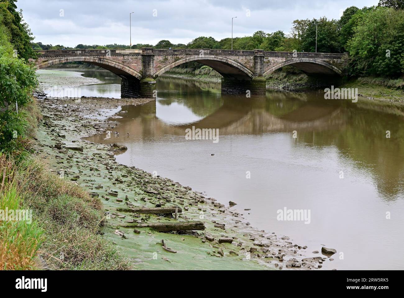 Rund um die UK-Penwortham Bridge auf dem River Ribble bei Preston bei Ebbe. Stockfoto