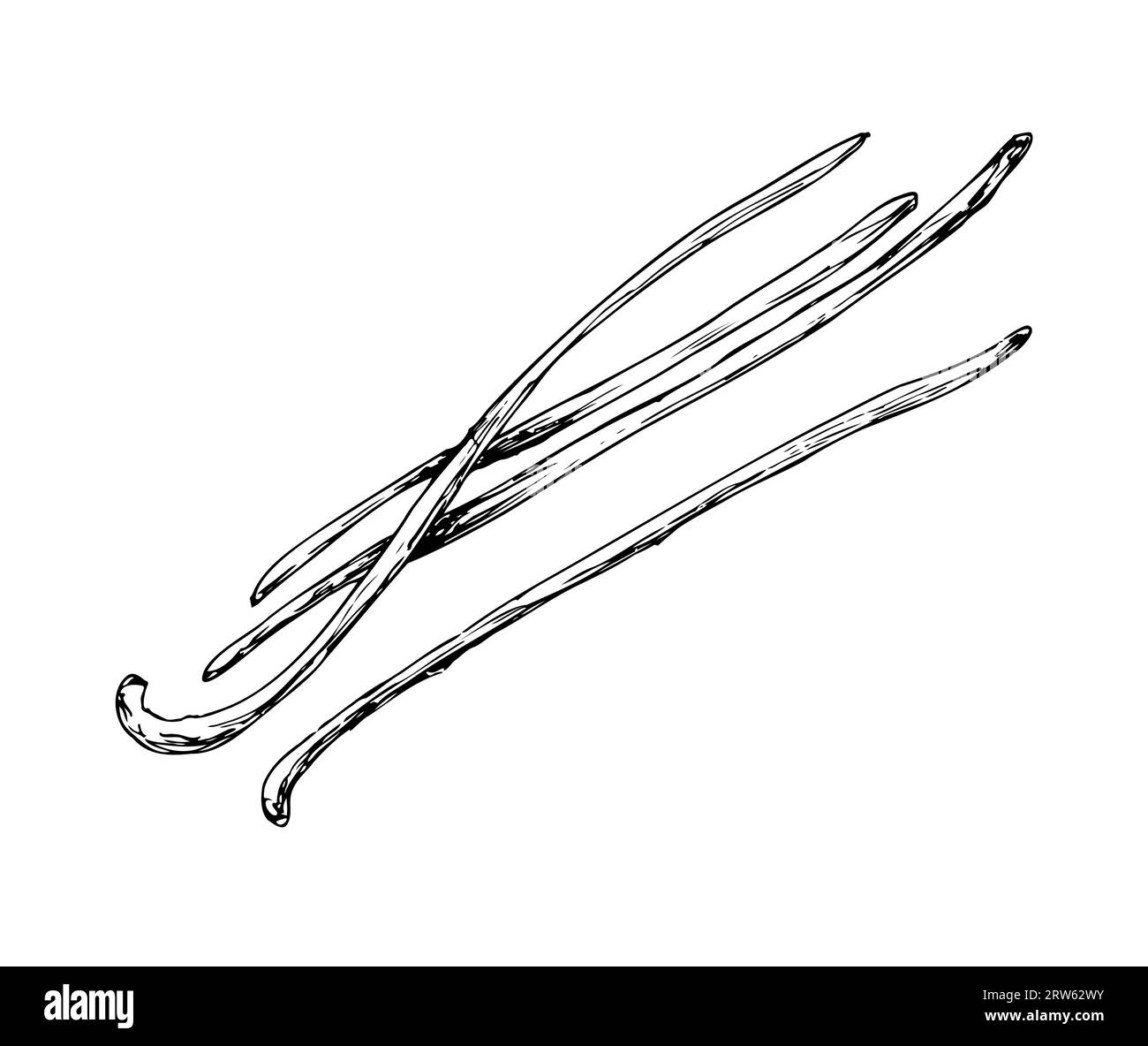 Lineare Vanilleschoten. Gewürze zum Kochen und Backen Stockfoto