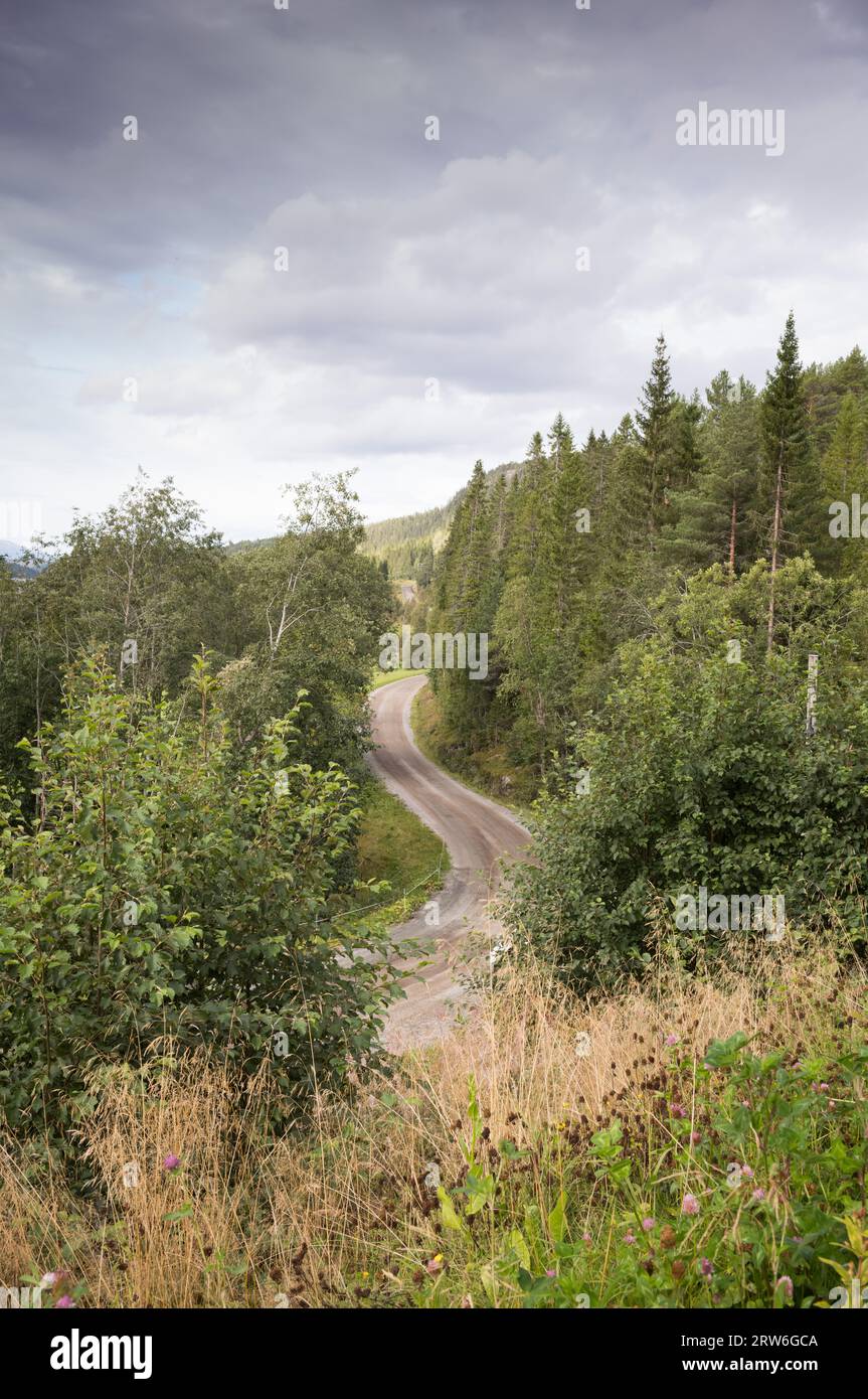 Eine gewundene Asphaltstraße im ländlichen Norwegen Stockfoto