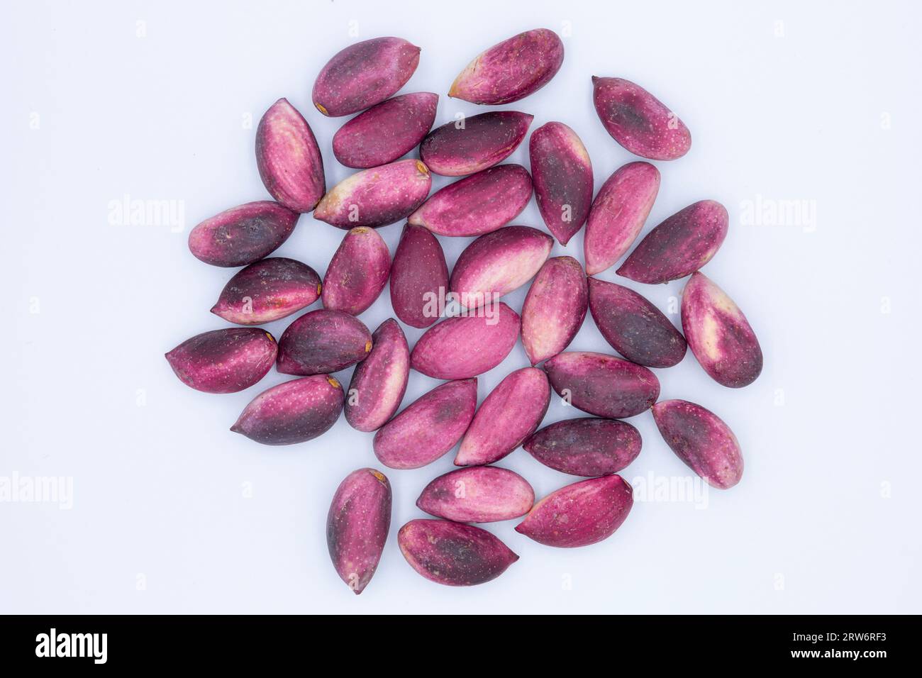 Frische rosafarbene Pistazien-Frucht isoliert auf weißem Hintergrund Stockfoto