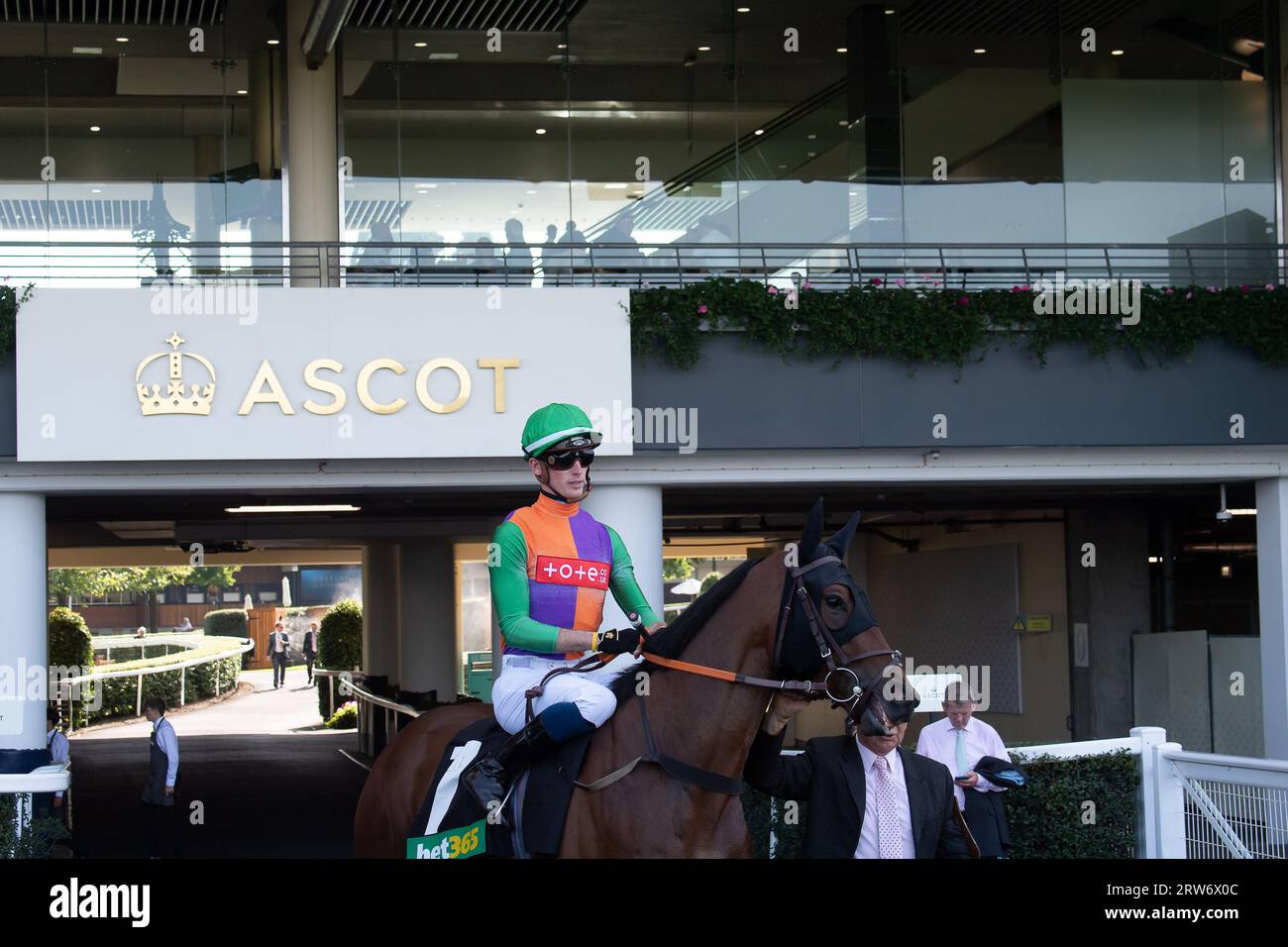 Ascot, Berkshire, Vereinigtes Königreich. September 2023. Pferd Quinault, das von Jockey Luke Catton geritten wird, geht auf den Platz, bevor er die Einsätze des Bet365 Handicap gewinnt. Kredit: Maureen McLean/Alamy Stockfoto