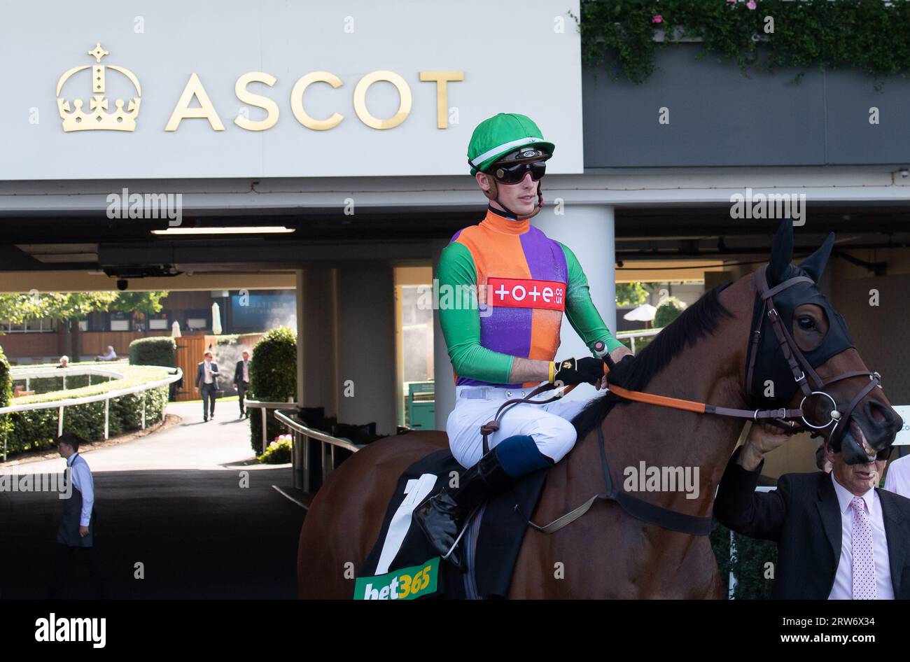 Ascot, Berkshire, Vereinigtes Königreich. September 2023. Pferd Quinault, das von Jockey Luke Catton geritten wird, geht auf den Platz, bevor er die Einsätze des Bet365 Handicap gewinnt. Kredit: Maureen McLean/Alamy Stockfoto