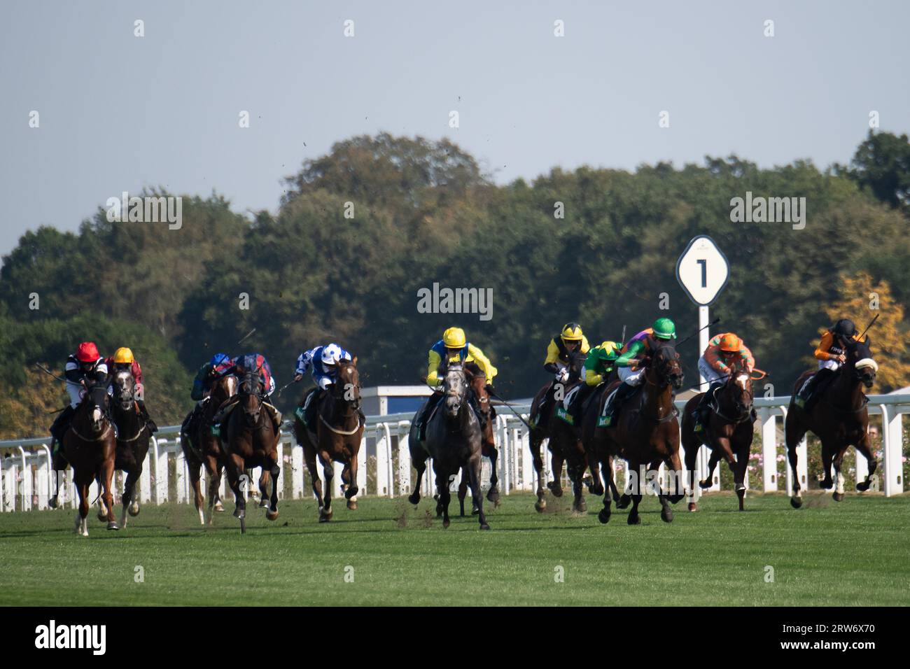Ascot, Berkshire, Vereinigtes Königreich. September 2023. Die Bet365-Einsätze gewann das Pferd Quinault, das von Jockey Luke Catton geritten wurde. Besitzer TJE Racing. Trainer Stuart Williams, Newmarket. Züchter, Stifung Gestut Fahrhof. Sponsor, Tote. Kredit: Maureen McLean/Alamy Stockfoto