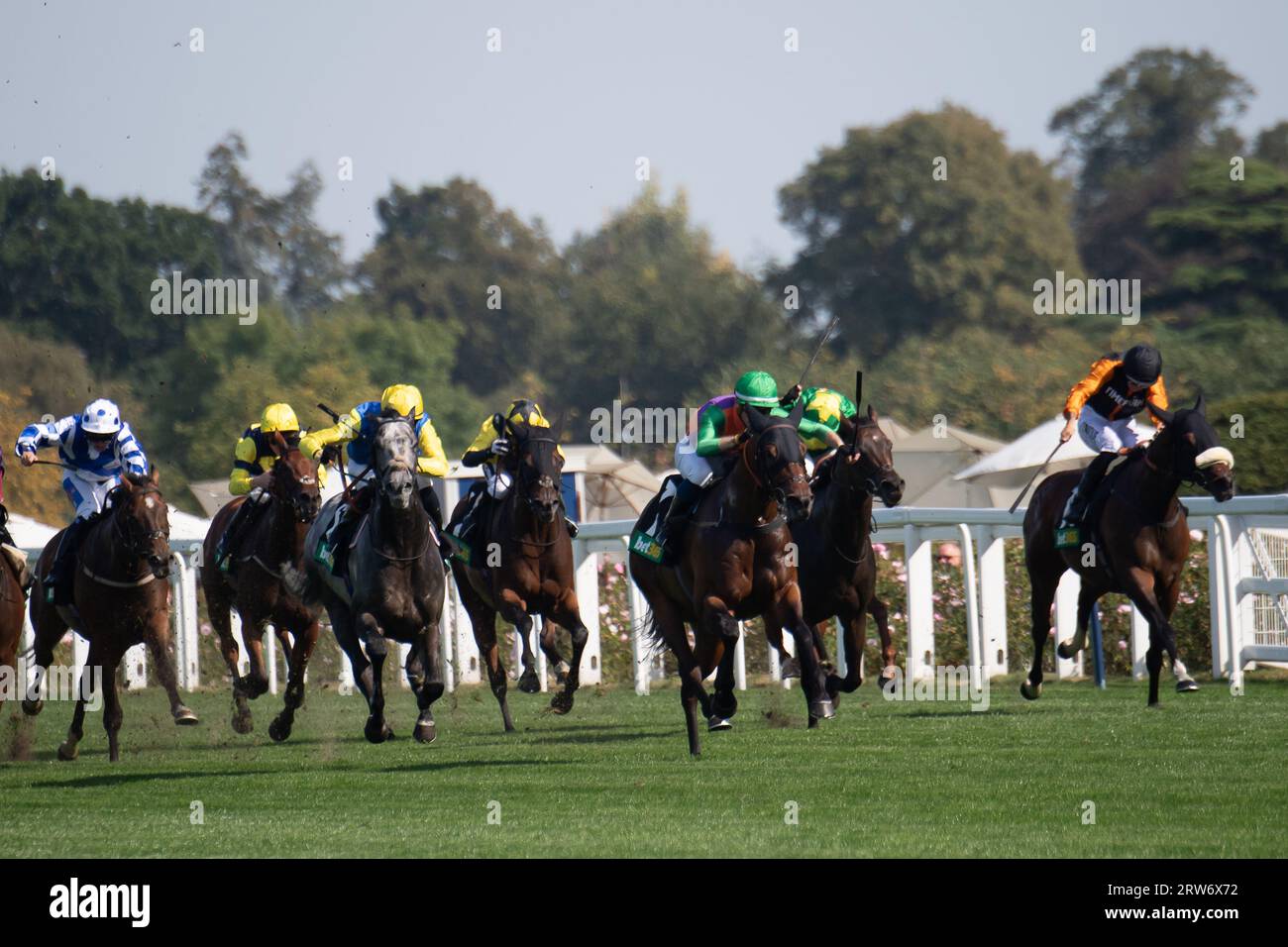 Ascot, Berkshire, Vereinigtes Königreich. September 2023. Die Bet365-Einsätze gewann das Pferd Quinault, das von Jockey Luke Catton geritten wurde. Besitzer TJE Racing. Trainer Stuart Williams, Newmarket. Züchter, Stifung Gestut Fahrhof. Sponsor, Tote. Kredit: Maureen McLean/Alamy Stockfoto