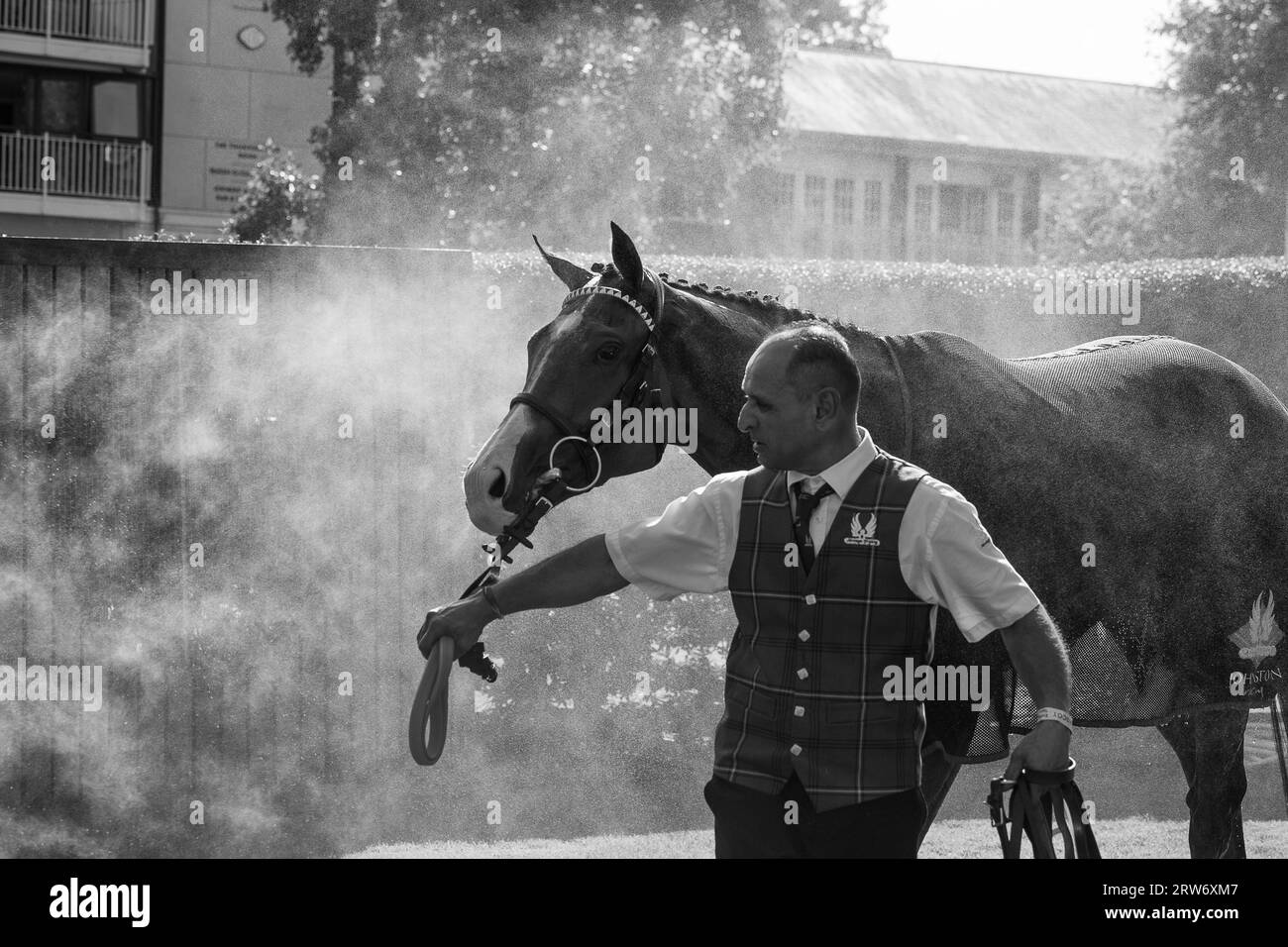 Ascot, Berkshire, Vereinigtes Königreich. September 2023. Die Pferde kehren nach dem Rennen auf den Lavazza Handicap Stakes auf der Ascot Racecourse zurück und werden gekühlt. Die Kühlventilatoren waren im Einsatz und aufgrund der Hitzewelle wurden auch Pferde im Tunnel abgekühlt. Kredit: Maureen McLean/Alamy Stockfoto