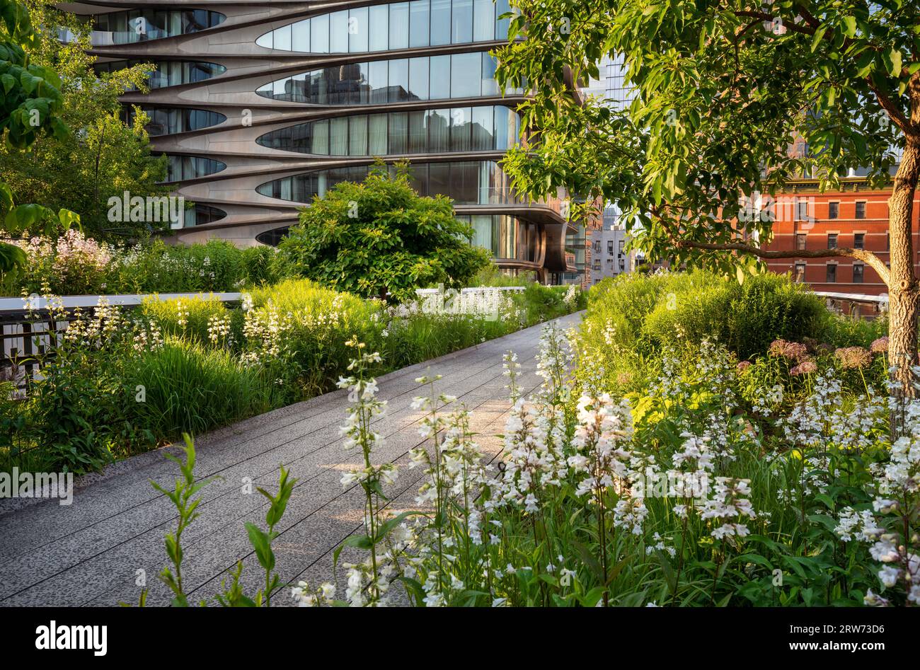 Die High Line Promenade im Sommer. Erhöhter Greenway-Park im Herzen von Chelsea, Manhattan. New York City Stockfoto