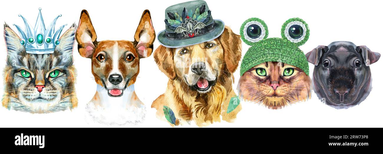 Grenze aus Aquarellporträts von Hunden, Meerschweinchen und Katzen Stockfoto