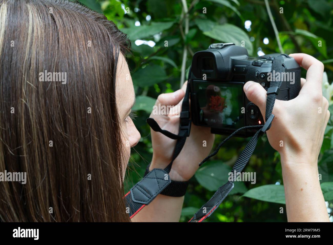 Junge Fotografin, die Fotos mit Digitalkamera in üppig grünem Garten macht Stockfoto