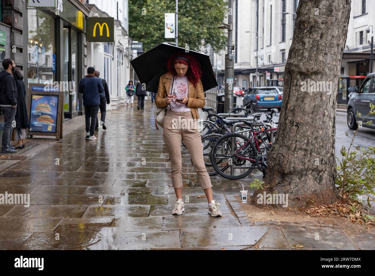 Eine Frau mit ihrem Regenschirm macht sich auf den Weg entlang der High Street Kensington in Herbstregenschauern im Zentrum Londons, England, Großbritannien Stockfoto