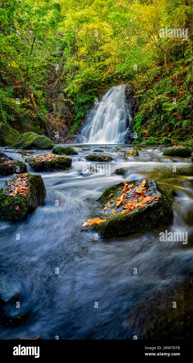 Herbst am Glenoe Waterfall, County Antrim, Nordirland Stockfoto