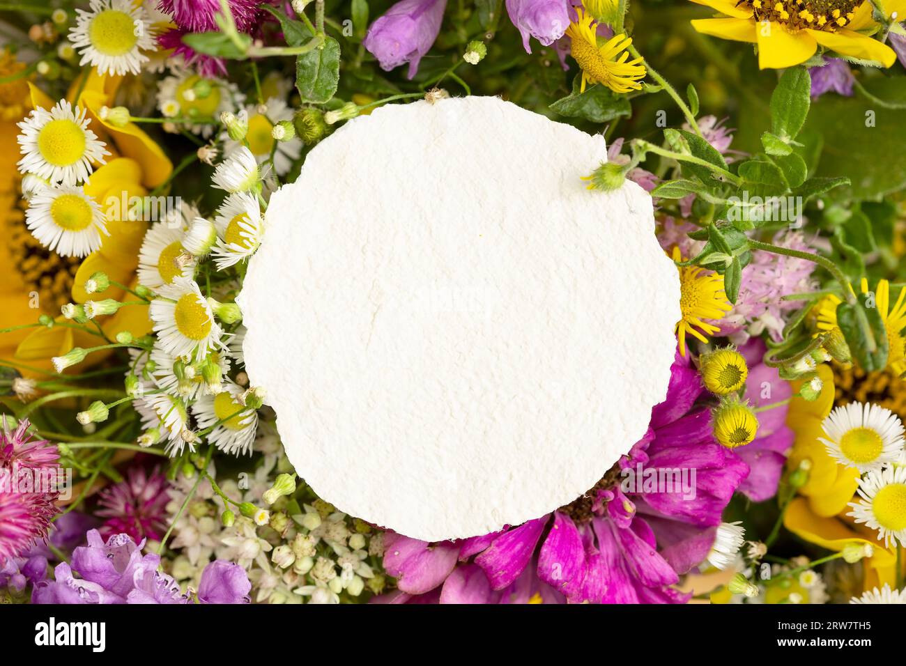 Frühlingsblumen mit einer Craft Paper blanck Note Stockfoto