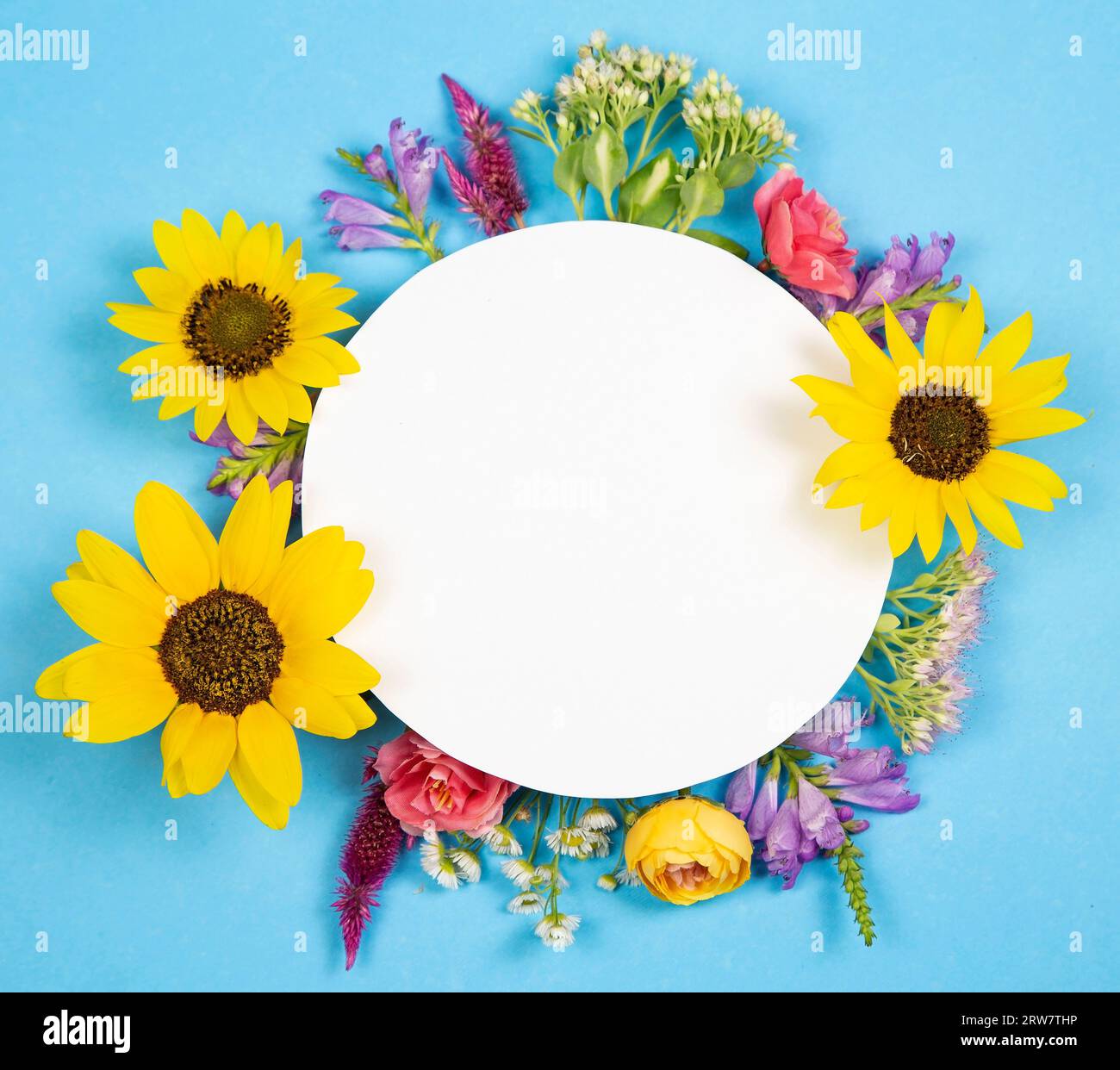 Blumenkomposition mit Kopierraum Stockfoto